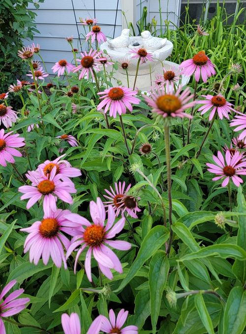 a-1447 Club Dr, Glendale Heights, IL, 60139-3665 | Card Image