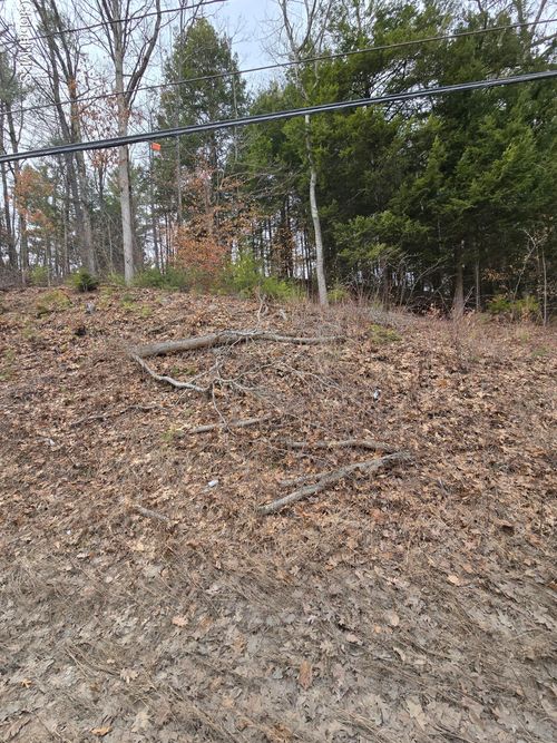 L18/19 Rr 9, Lake George, NY, 12845 | Card Image