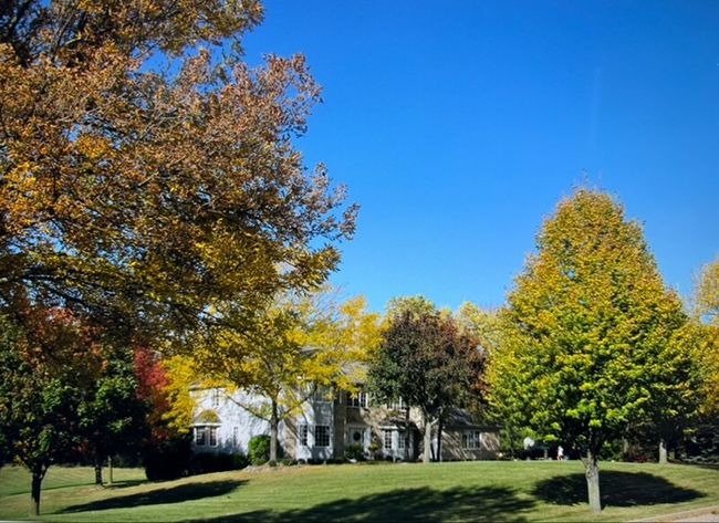 Front yard in the Fall | Image 38
