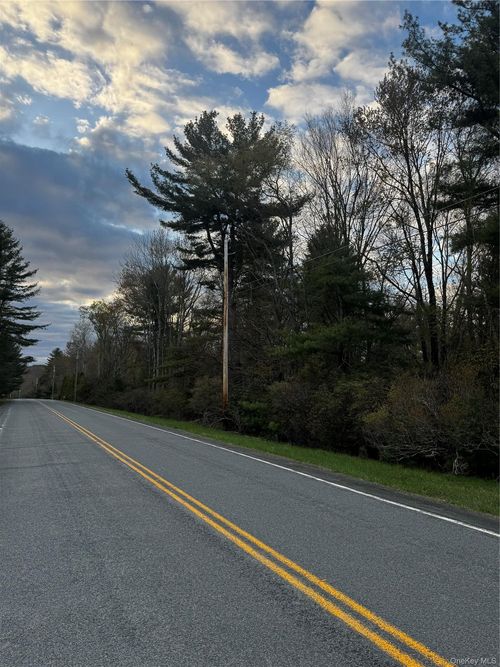 TBD 000 Ulster Heights Road, Fallsburg, NY, 12733 | Card Image