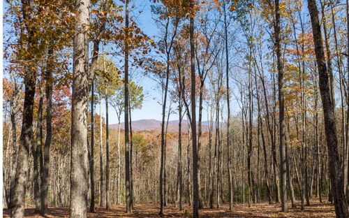 19R Settlement Trl, Ellijay, GA, 30536 | Card Image