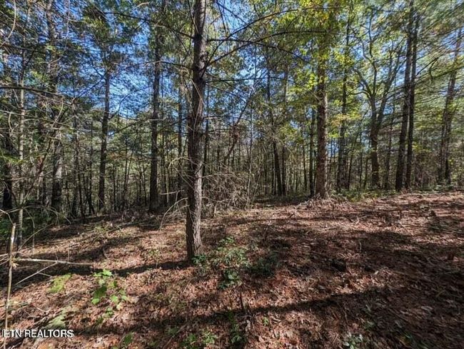 239 Sewell Dr, Home with 0 bedrooms, 0 bathrooms and null parking in Allardt TN | Image 12