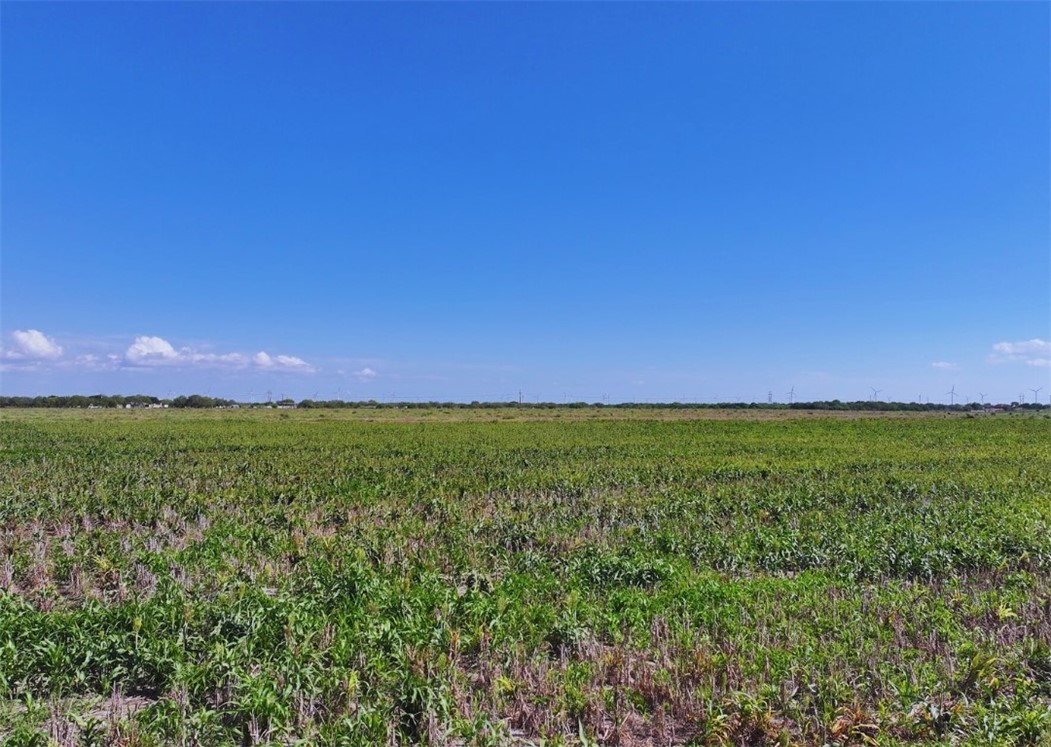 Land in Odem 5