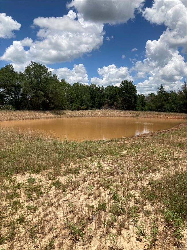 Water view with a heavily wooded area | Image 17