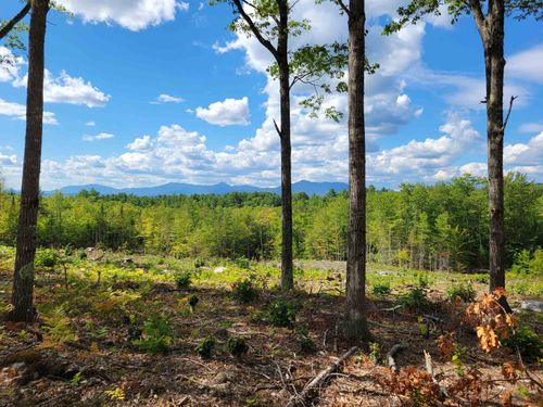 238-1-1.2 Maple Grove Road, Madison, NH, 03849 | Card Image