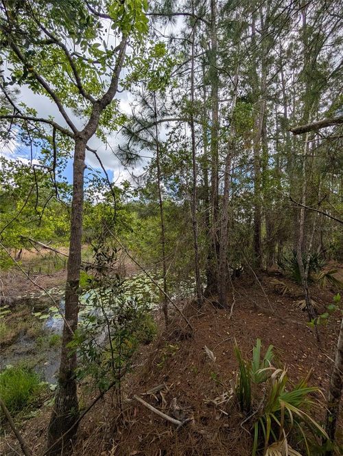 38521 Ilex Trl, Eustis, FL, 32736-8691 | Card Image