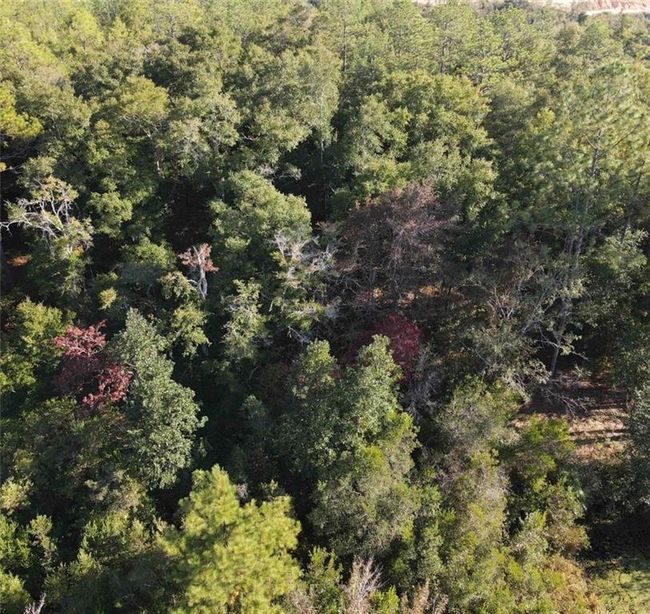 Aerial view | Image 4