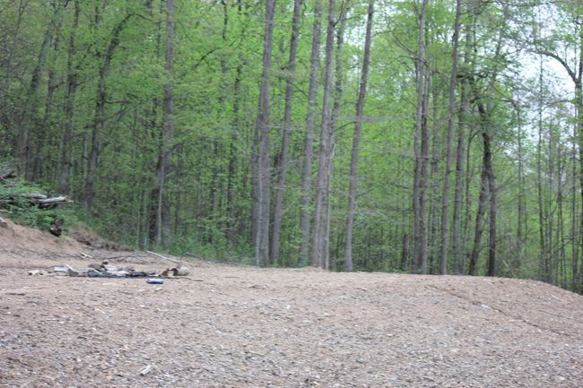 0 Routt Rd, Home with 0 bedrooms, 0 bathrooms and null parking in Wallingford KY | Image 14