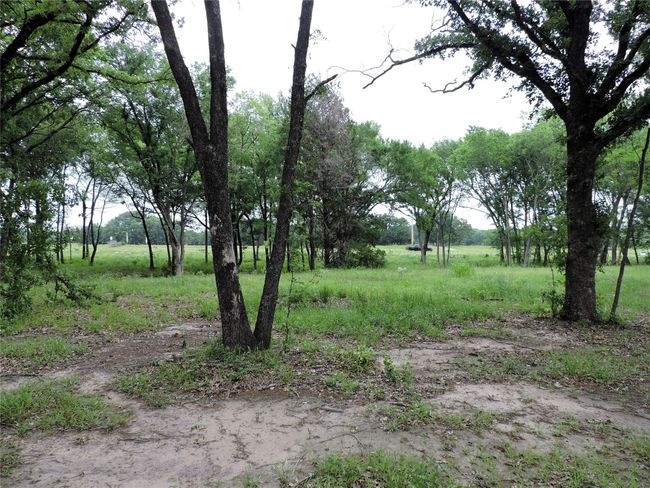 0 E Highway 175, Home with 0 bedrooms, 0 bathrooms and null parking in Mabank TX | Image 10