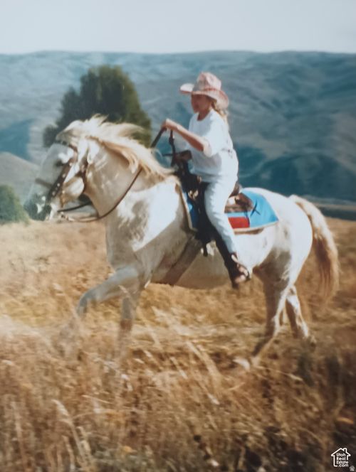 527-3388 N Oak Canyon Dr, Huntsville, UT, 84317 | Card Image