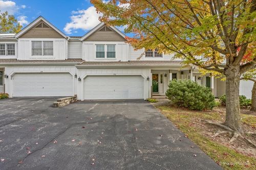 156 Spring Point Dr, Carpentersville, IL, 60110 | Card Image