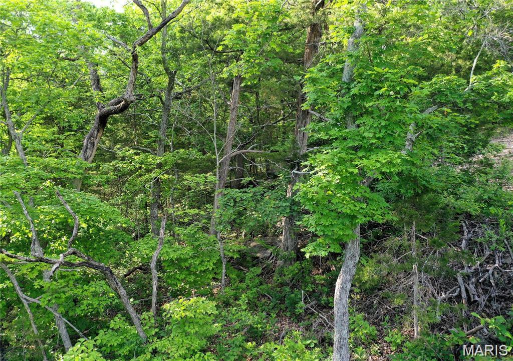 Land in Cedar Hill 5