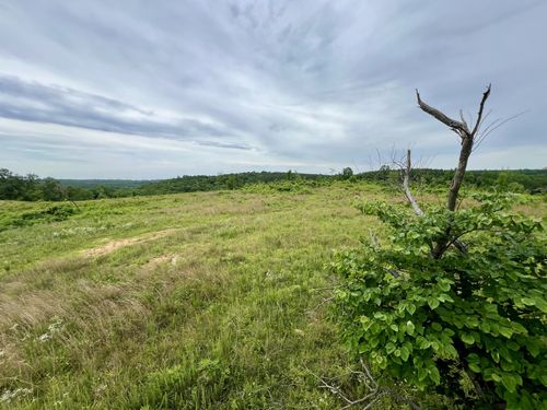 0 Inland Rd, Hurricane Mills, TN, 37078 | Card Image