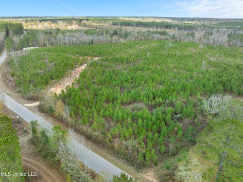 84.50 Acre Guthrie Rd, Moselle, MS, 39459 | Card Image