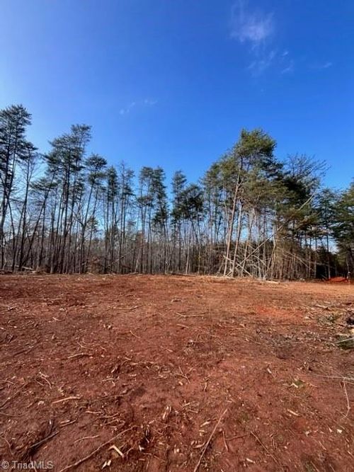 0 Mcdaniel Rd, Pilot Mountain, NC, 27041 | Card Image