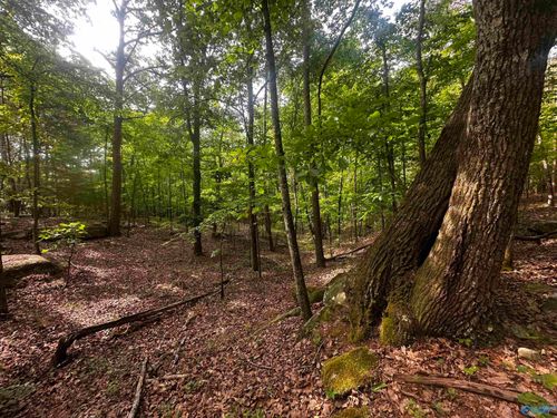 4.4 acres Wooten Road, Grant, AL, 35747 | Card Image