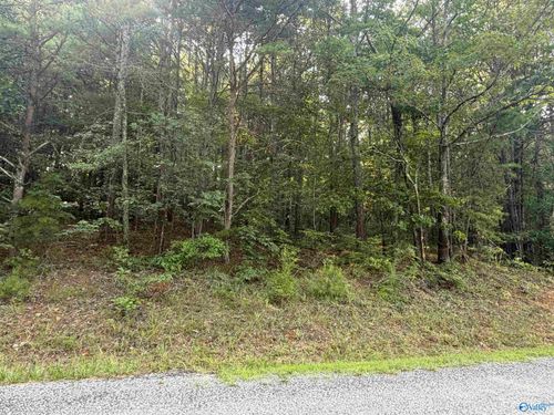Lot 7 County Road 592, Leesburg, AL, 35983-4918 | Card Image