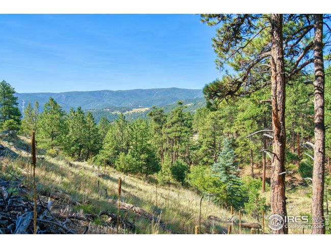 2977 Sunshine Canyon Dr, Home with 0 bedrooms, 0 bathrooms and null parking in Boulder CO | Image 14