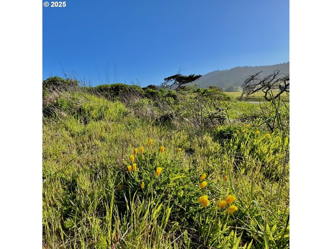 4 - 000 Old Coast Hwy, Home with 0 bedrooms, 0 bathrooms and null parking in Gold Beach OR | Image 27