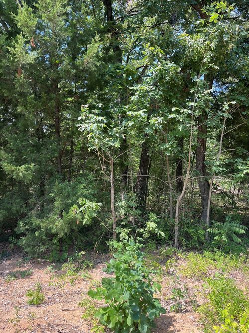 106 Red Bluff Loop, Mabank, TX, 75156-6528 | Card Image