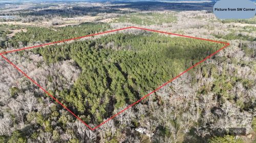 44 Brundidge St, Clio, AL, 36017 | Card Image