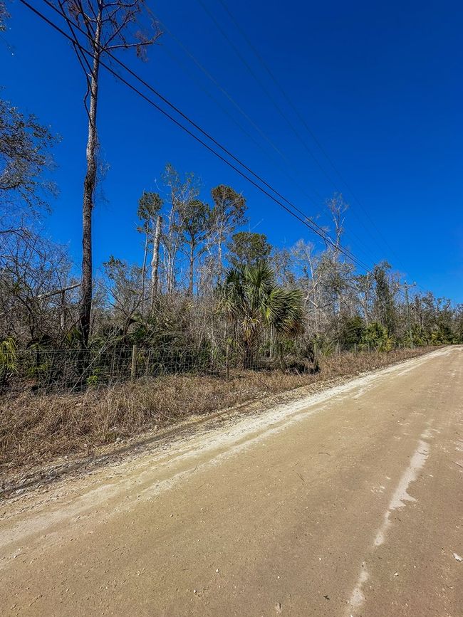 915 Sw 248th Ave, Home with 0 bedrooms, 0 bathrooms and null parking in Steinhatchee FL | Image 7