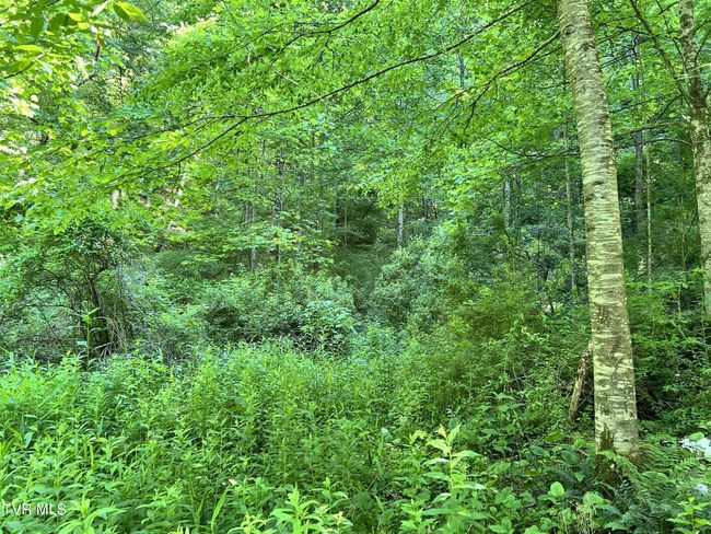 7576 Wells Adams Rd, Home with 0 bedrooms, 0 bathrooms and null parking in Norton VA | Image 6
