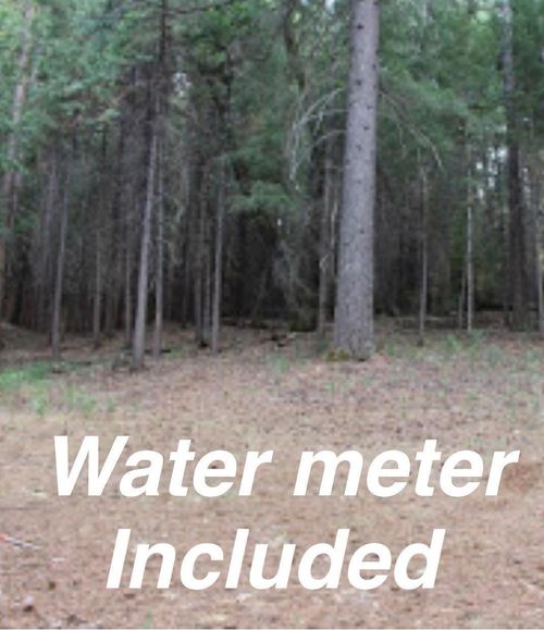 5511 Shooting Star Rd, Pollock Pines, CA, 95726-9024 | Card Image