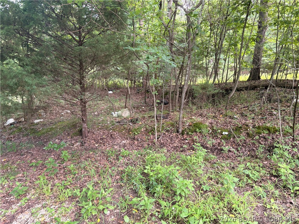 Land in Gravois Mills 3