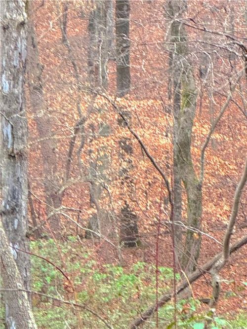 00 Crooked Creek Trce, Jasper, GA, 30143 | Card Image