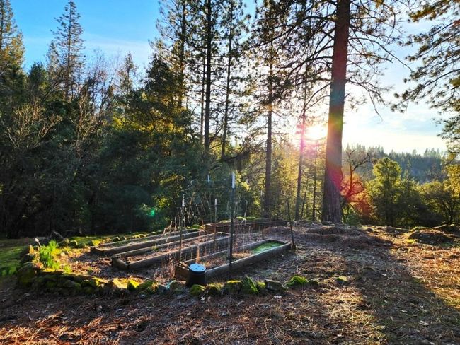 955 Grinding Rock Ct, House other with 3 bedrooms, 2 bathrooms and null parking in West Point CA | Image 39
