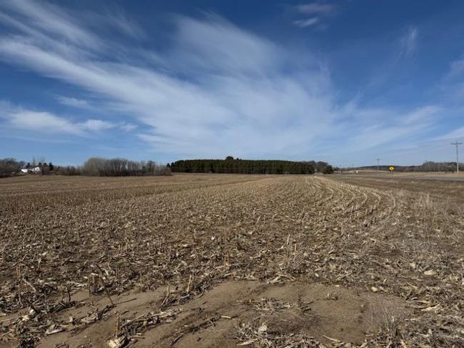 0000 County Road 61, Home with 0 bedrooms, 0 bathrooms and null parking in Browerville MN | Image 9