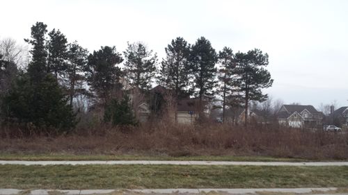 lot-66-2453 Perry Dr, Stevensville, MI, 49127-8741 | Card Image