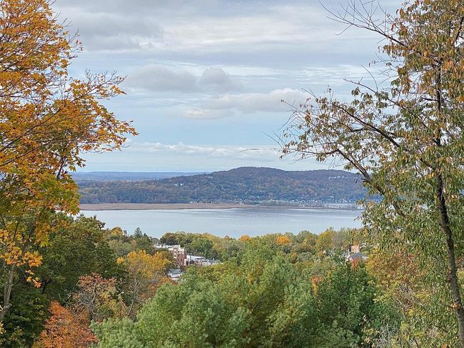 Property view of water featuring a forest view | Image 14