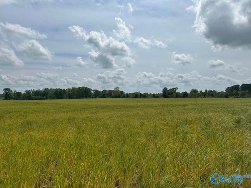 28 Acres Highway 64, Lexington, AL, 35648 | Card Image