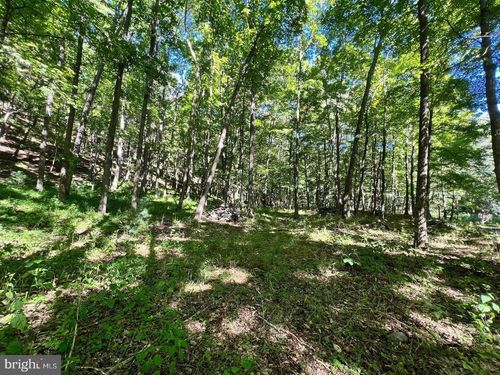 LOT 4 SECTION 7 High Knob Road, OLD FIELDS, WV, 26845 | Card Image