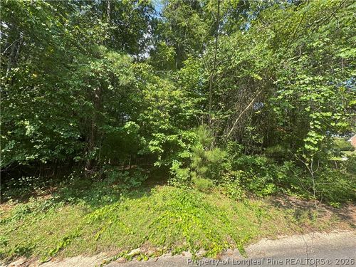 0 Stonington Dr, Fayetteville, NC, 28311 | Card Image