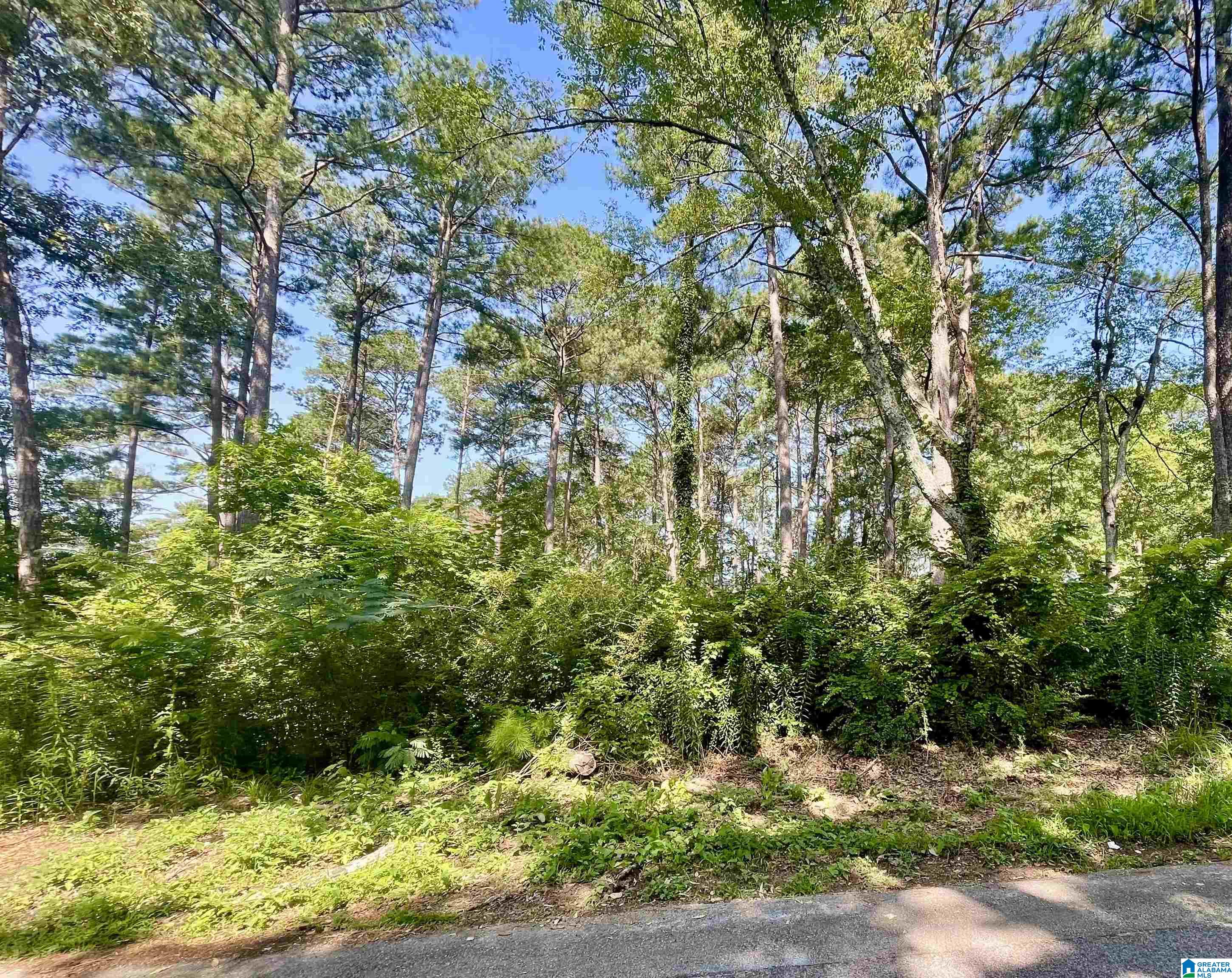 Land in GARDENDALE 3