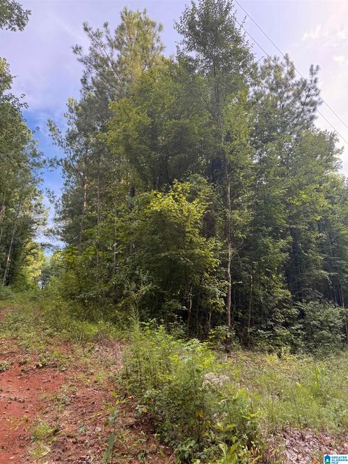 1-0 County Road 228, Maplesville, AL, 36750 | Card Image