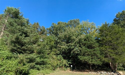 365 Cr-853, Green Forest, AR, 72638 | Card Image