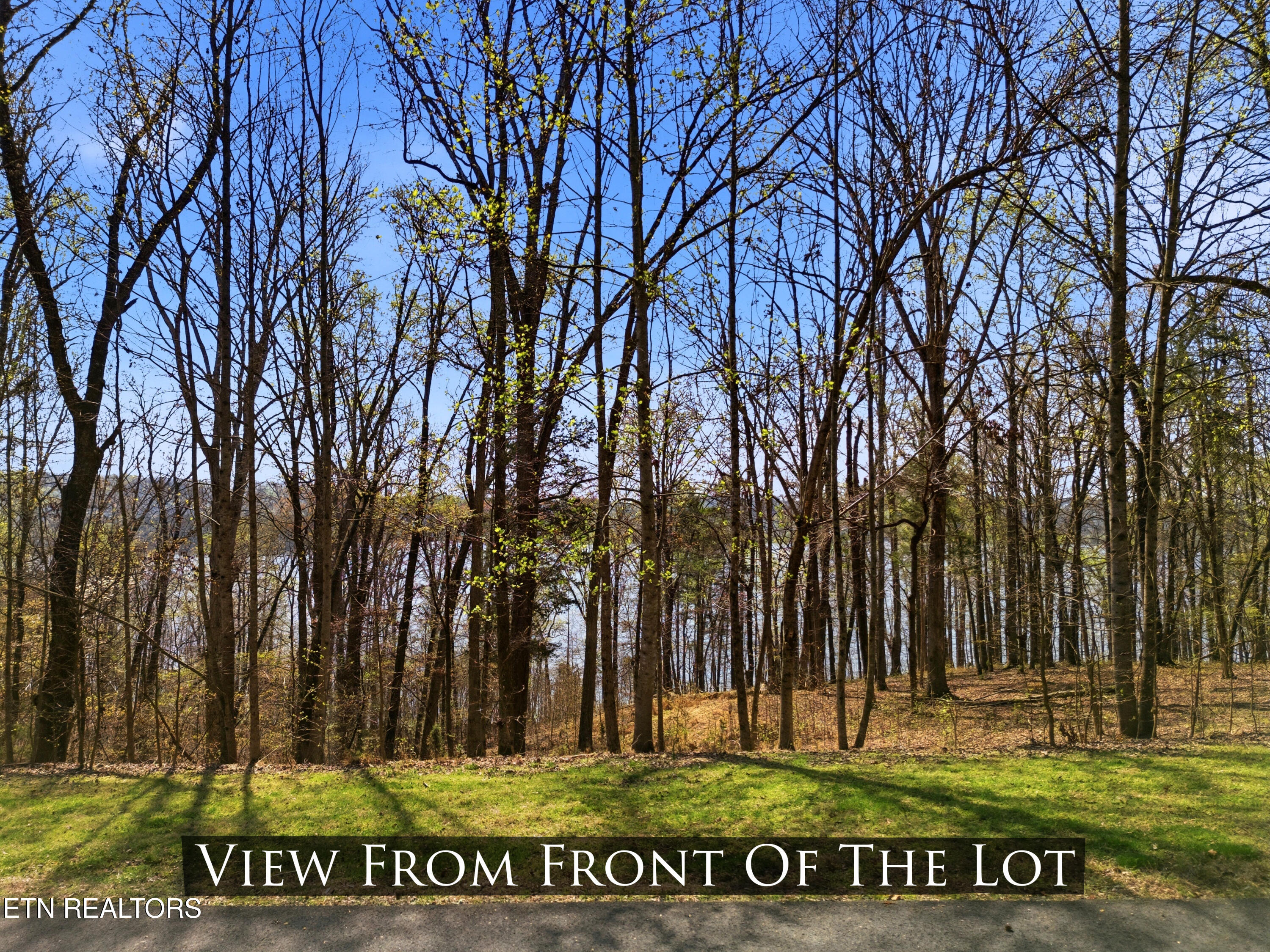 Land in Rockwood 2
