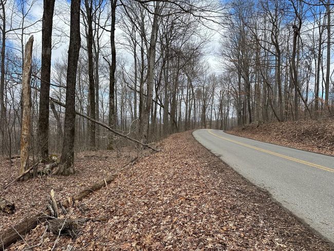 126 Northcutts Cove Rd, Home with 0 bedrooms, 0 bathrooms and null parking in Beersheba Springs TN | Image 15