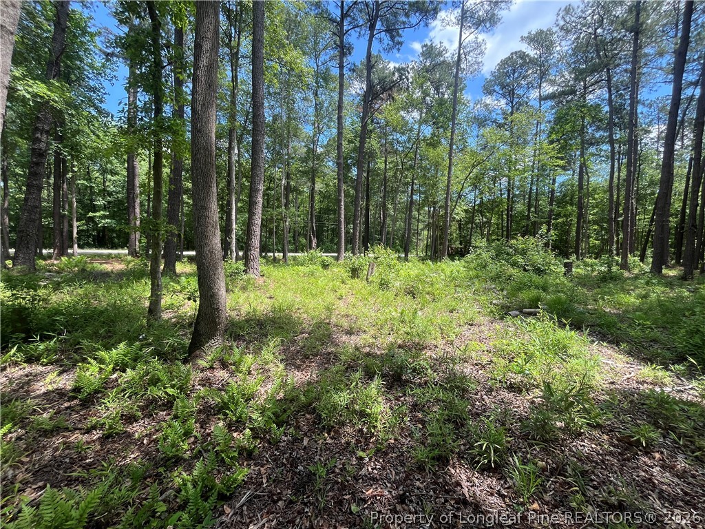 Land in Maxton 4
