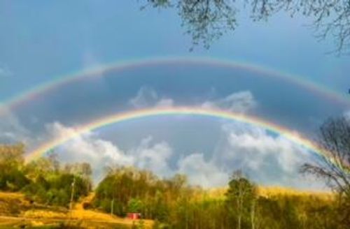 465 Anderson Cemetery Rd, Livingston, KY, 40445 | Card Image