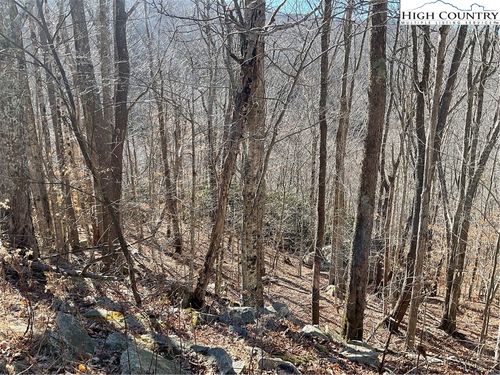 104 Wintercrest Ln, Beech Mountain, NC, 28604-8248 | Card Image