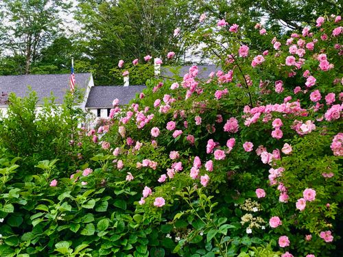 2381 E Washington Rd, Washington, NH, 03280-3506 | Card Image