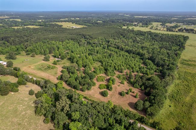 0 Johnson Rd, Home with 0 bedrooms, 0 bathrooms and null parking in Winona TX | Image 28