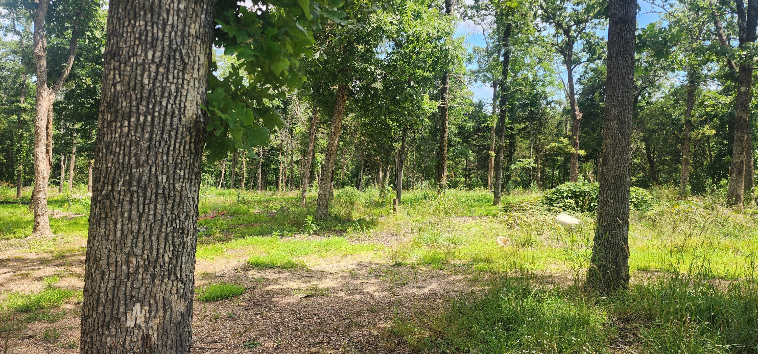 Land in Eagle Rock 4
