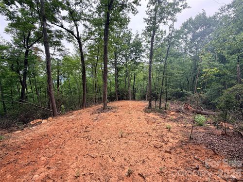 0 Harrison Dr, Lake Lure, NC, 28746 | Card Image