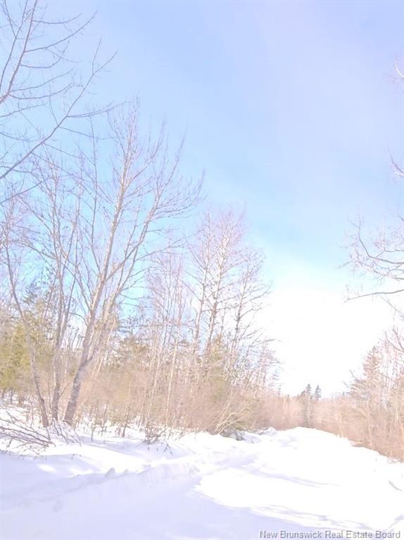 Land in Cormier Village 2